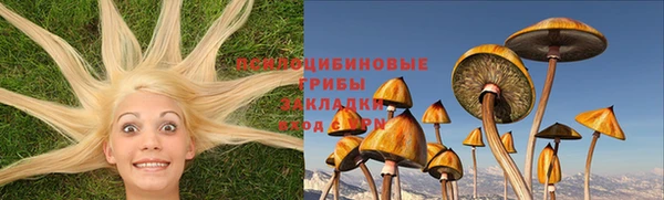 мдпв Баксан