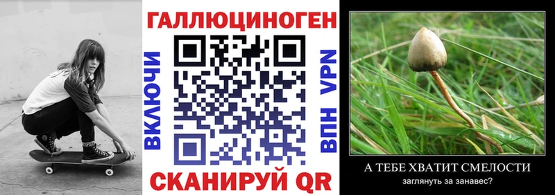 блэк спрут ссылка Радужный Галлюциногенные грибы Psilocybine cubensis как найти наркотики