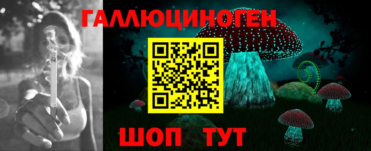 Галлюциногенные грибы Psilocybe Радужный