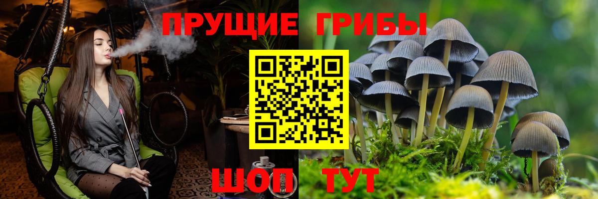 Радужный  Псилоцибиновые грибы Psilocybine cubensis  Вход с VPN 